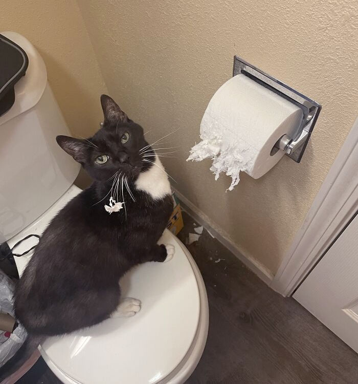 My Husband Didn't Give Him Enough Attention This Morning. After Snuggling Him For 20 Minutes