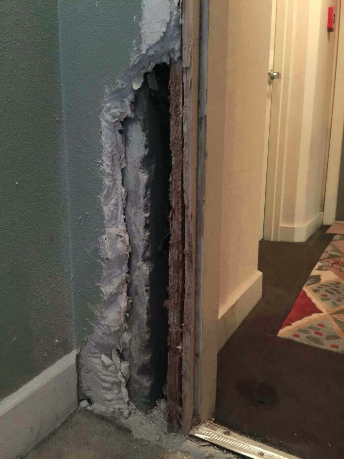 Friend Stayed Out Late Last Night. Her Dog Was Lonely