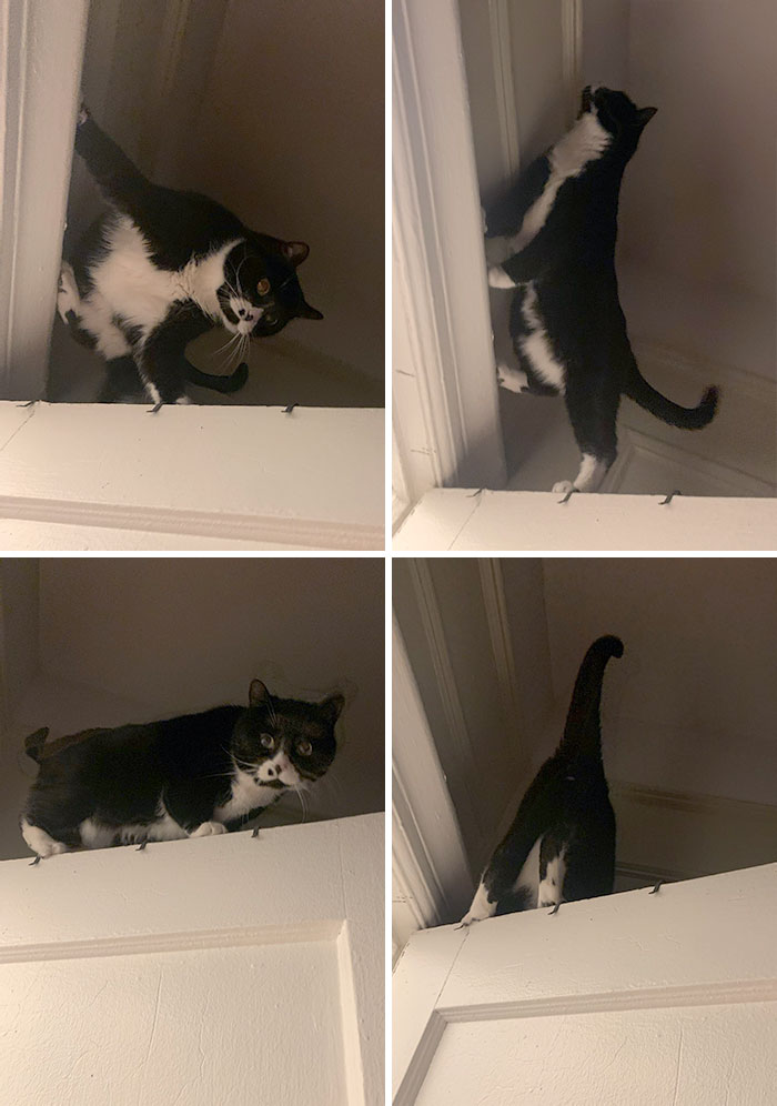 My Mother Refused To Get Out Of Bed At 3:37 Am When I Asked For Treats, So I Climbed Up Her Bedroom Door And Got Stuck