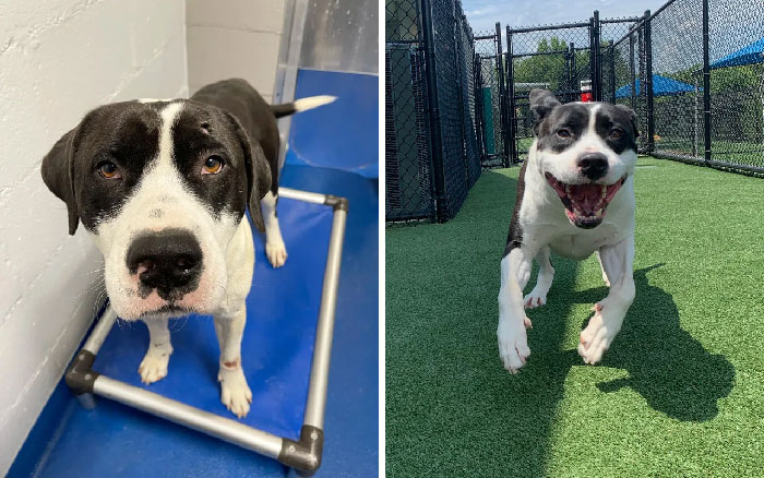 De estoico a sonriente