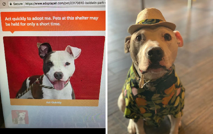 From The Shelter To Leaving The Best Life!