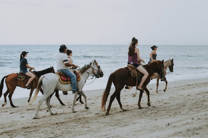 Friend Group Riding Horses In The Beach Near The Sea 