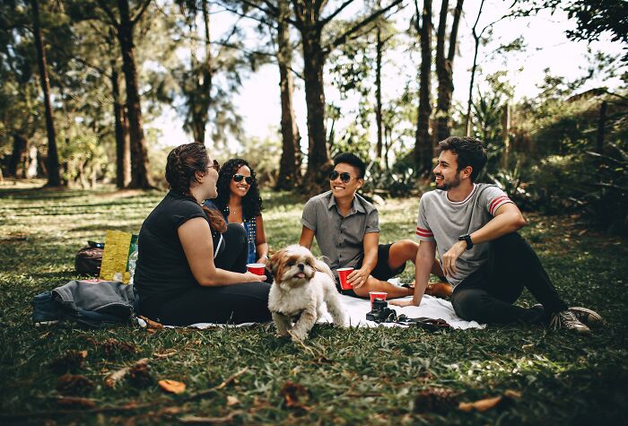 A Group Of Friends In A Park Having A Picnic 