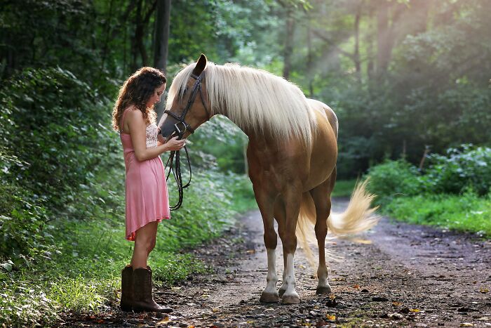 Woman Petting A Horse On A Sunny Day 