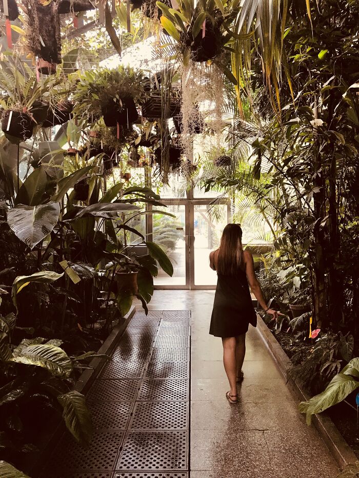 Woman Walking Through Indoor Botanical Garden 