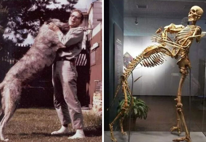 50 Photos From “Historyfeels” That Might Teach You More About Our Past