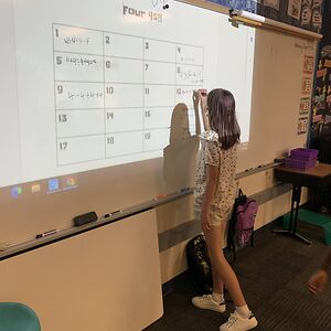 ramonaprodanovic avatar