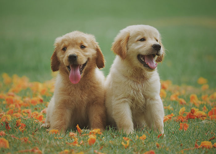 30 Señales de que alguien es una mala persona