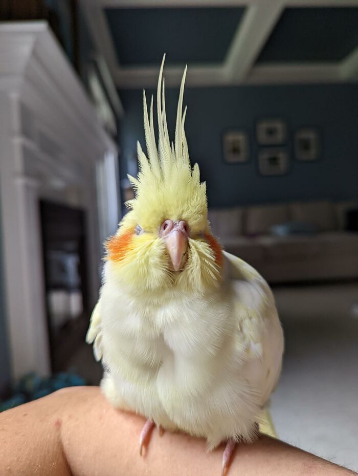 Sally Taking A Power Nap