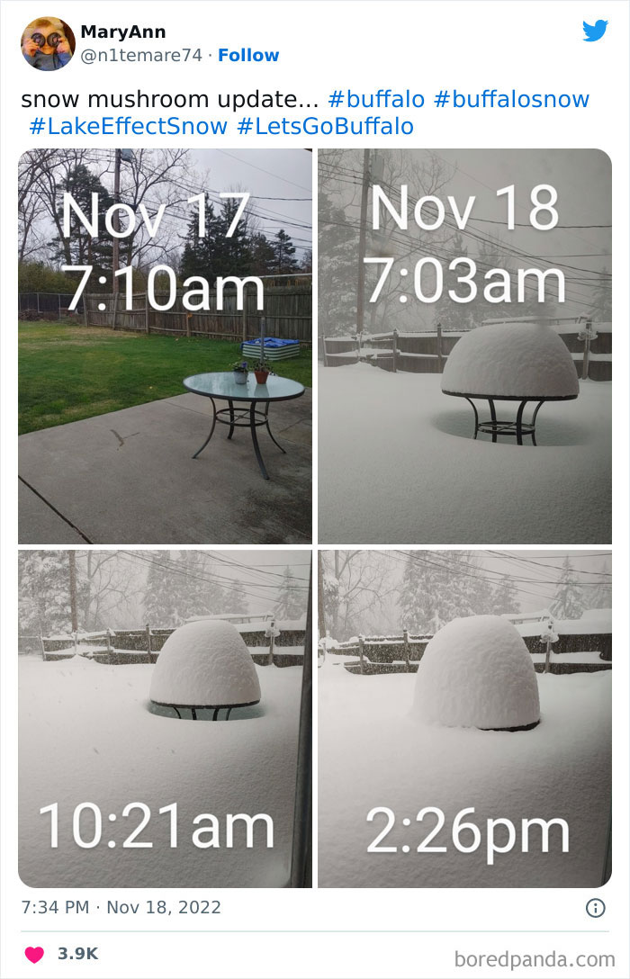 Snow-Buffalo-New-York-2022