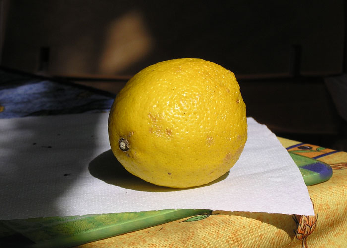 35 Strange Behaviors People Thought Were Completely Normal, As Shared In This Viral Thread