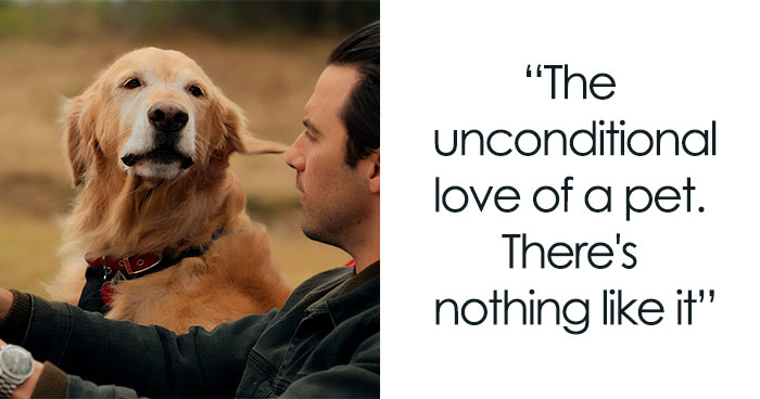 People Share Things Everyone Should Experience At Least Once In Their Lifetime