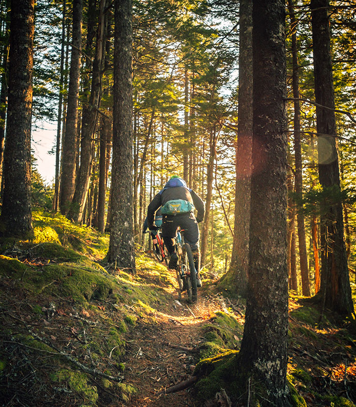 Person biking alone through a sunlit forest trail, embracing "me time" and nature.