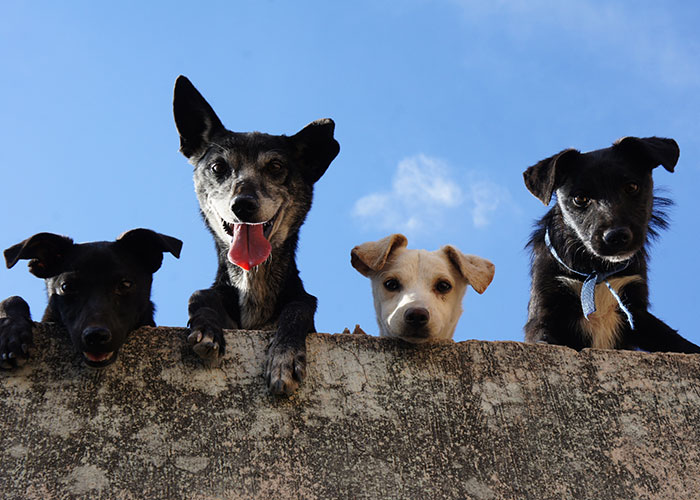 35 Horrible And Creepy Travel Experiences These People Wish They Hadn’t Had