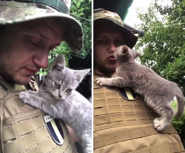 Uaarmy-Animals-Instagram