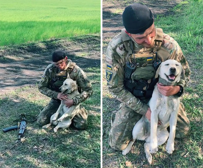 Uaarmy-Animals-Instagram