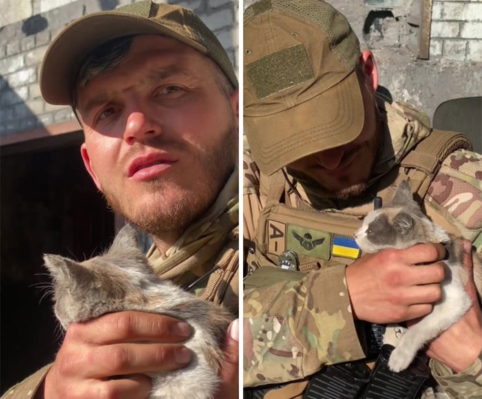 Uaarmy-Animals-Instagram