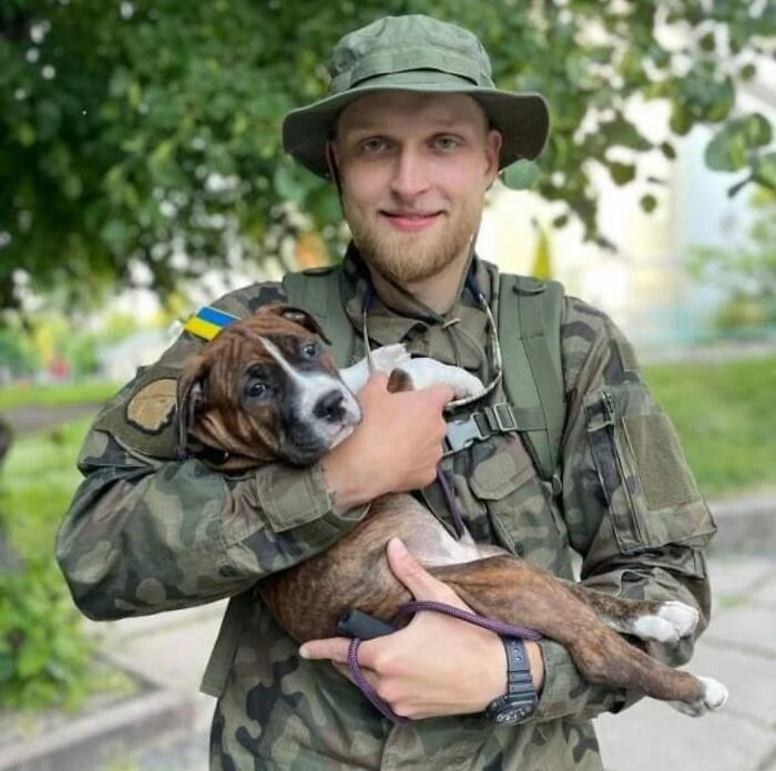 Uaarmy-Animals-Instagram