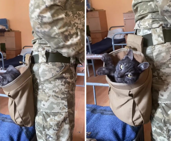 Uaarmy-Animals-Instagram