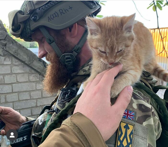 Uaarmy-Animals-Instagram