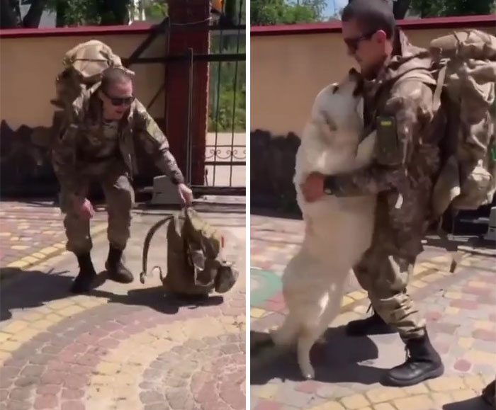 Uaarmy-Animals-Instagram