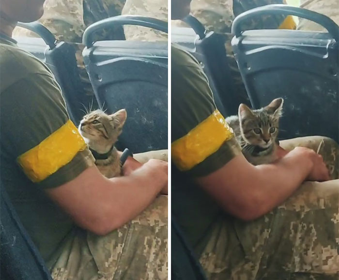 Uaarmy-Animals-Instagram