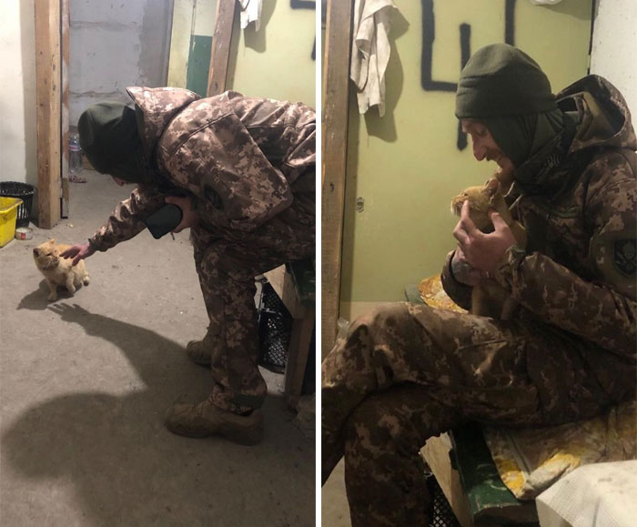 Uaarmy-Animals-Instagram