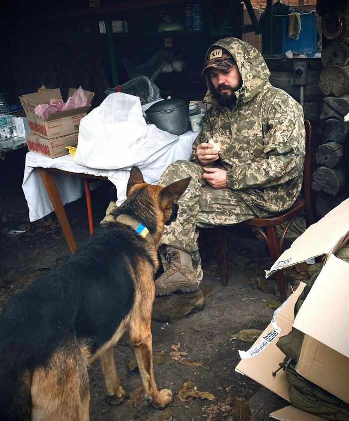 Uaarmy-Animals-Instagram