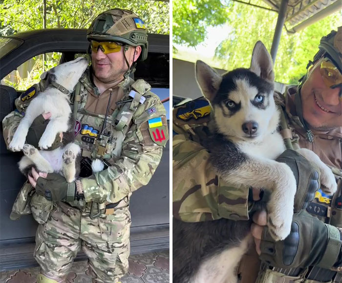 Uaarmy-Animals-Instagram