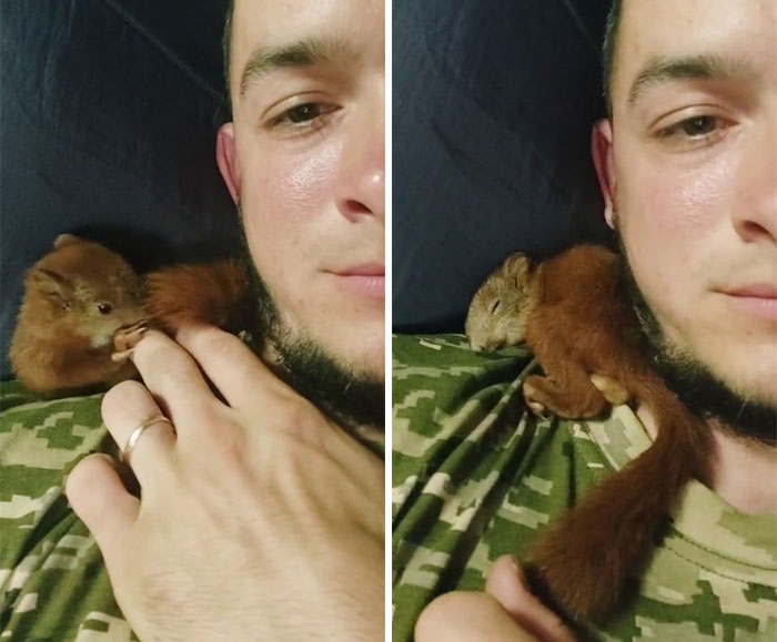 Uaarmy-Animals-Instagram