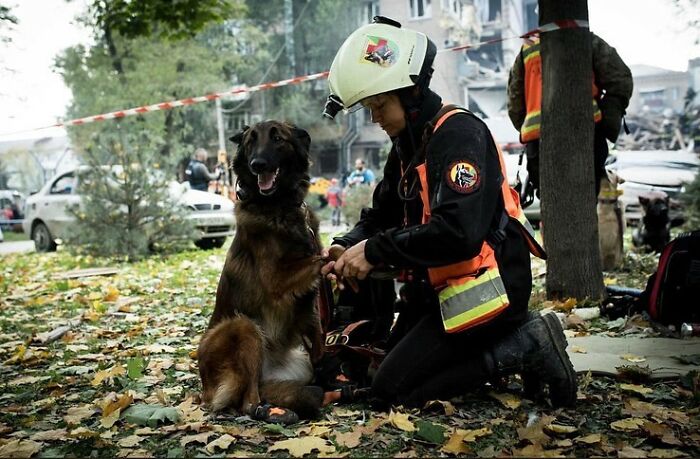 Uaarmy-Animals-Instagram