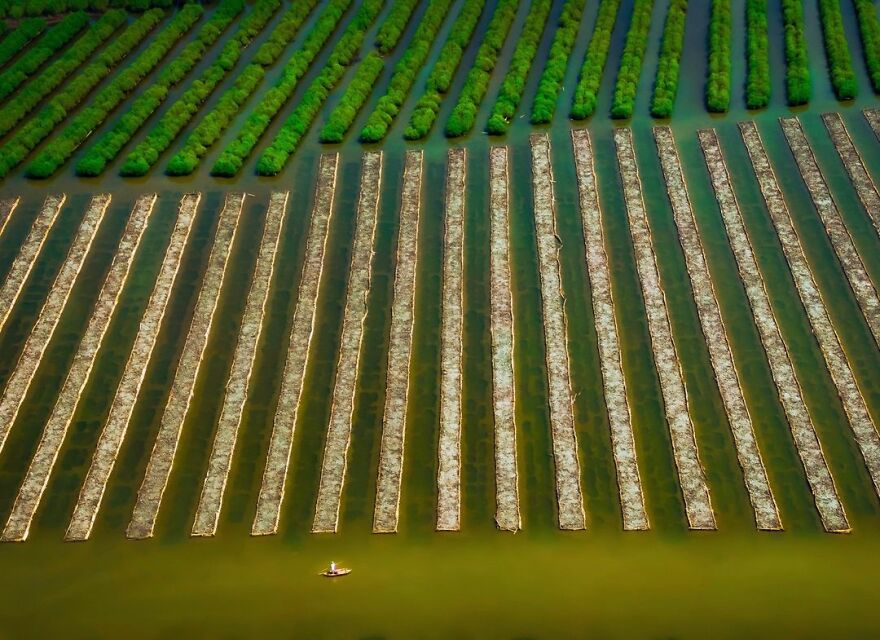 To Be Continuing - Alex Cao, Vietnam