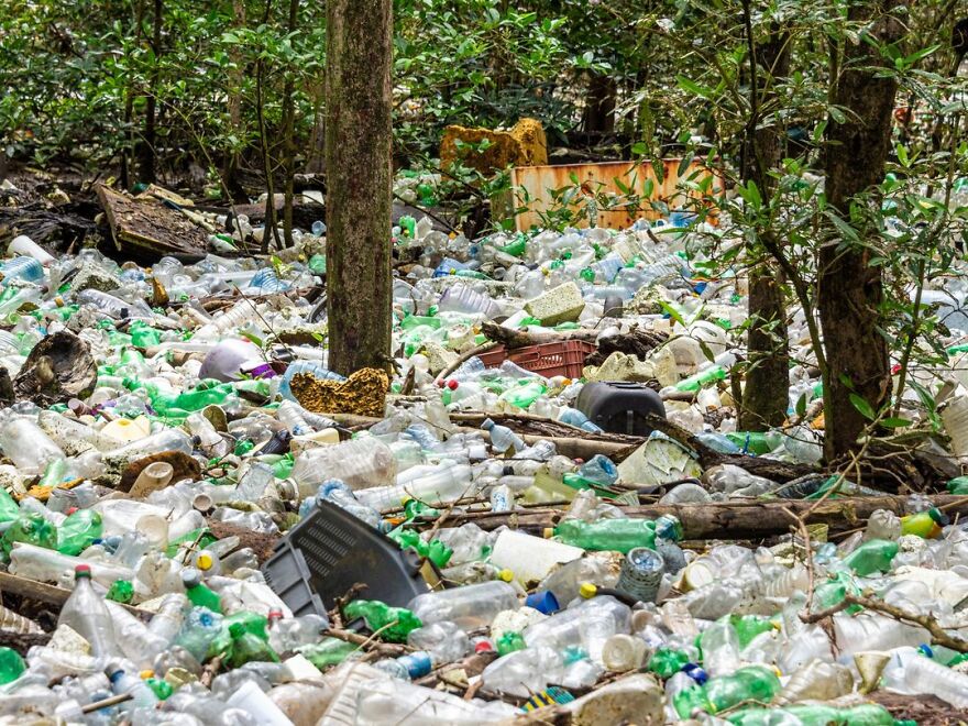 I'm Sure That The Ground Is There Somewhere - Steve Paton, Panama