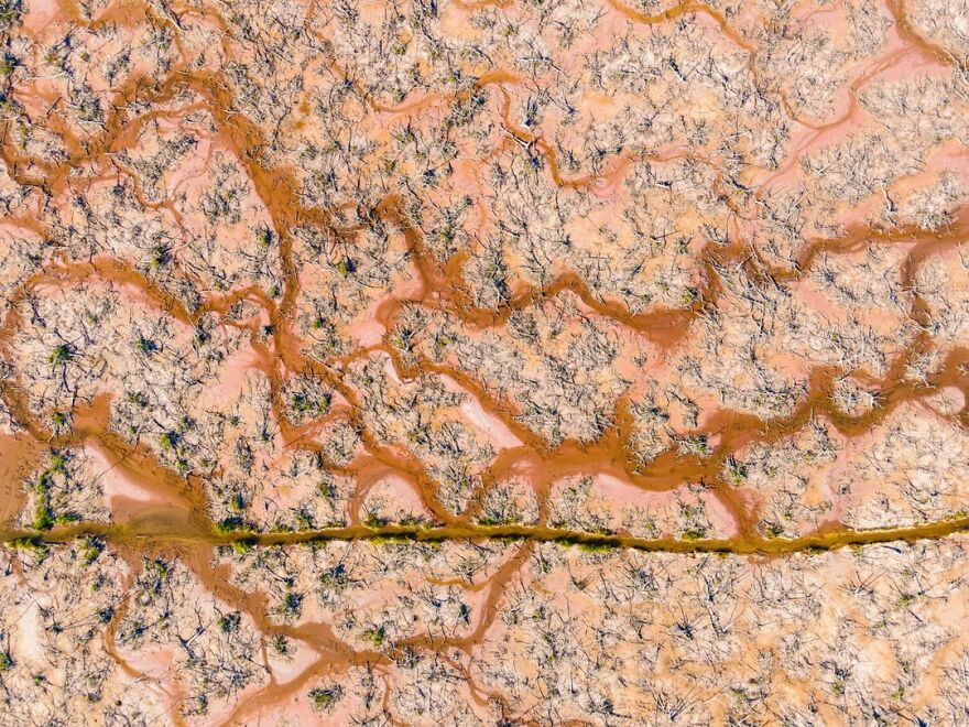 Desert Of Life - Miguel Diaz Perez, Mexico