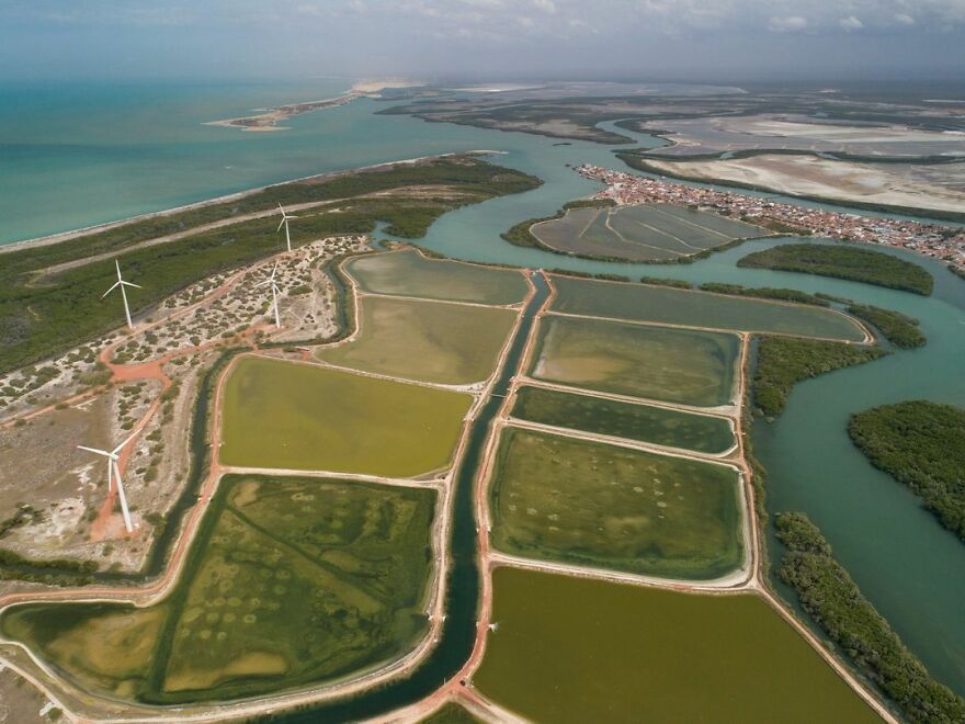 Suppression - Enrico Marone, Brazil