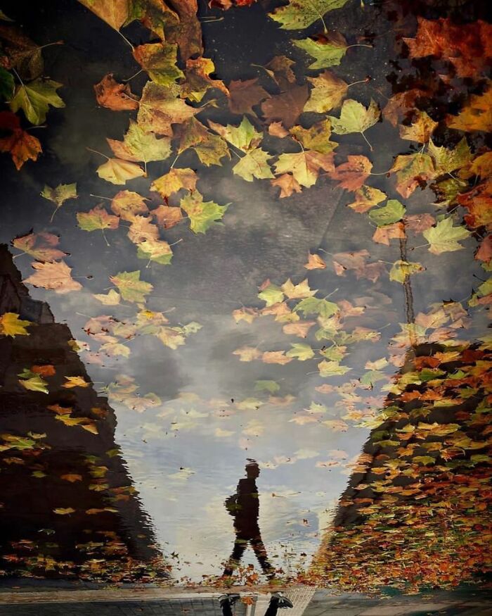 Instagram Account Collects And Shares Pictures That Capture Chance Encounters In Public Places (50 New Pics)