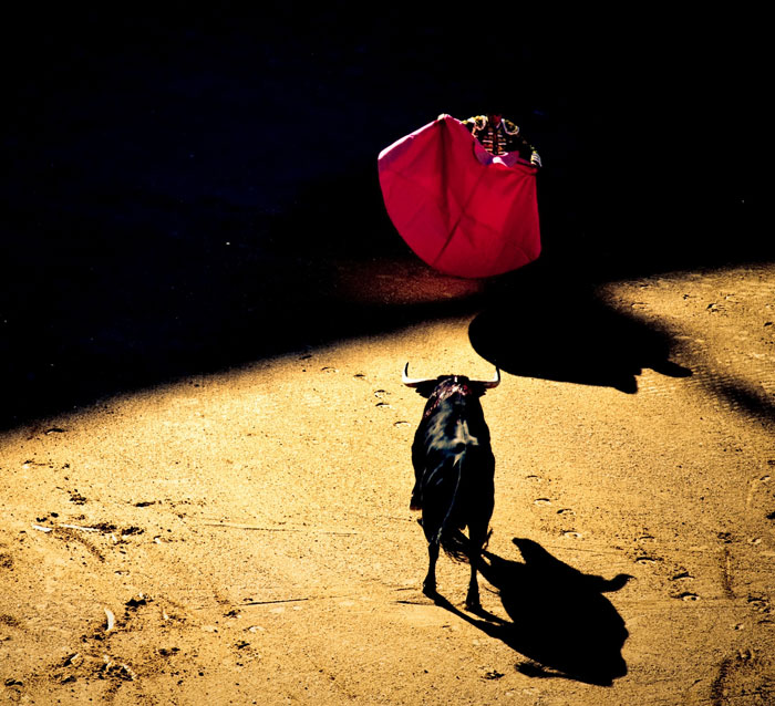 Difference Between Materlove And Matador