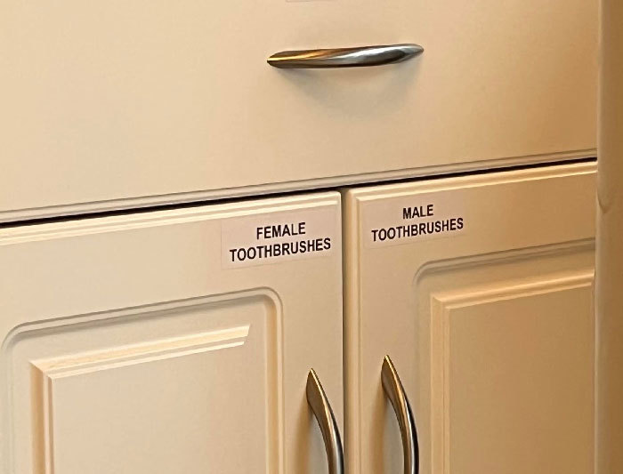 At My Dentist Office. Can’t Have These Toothbrushes Commingling It’s An Abomination