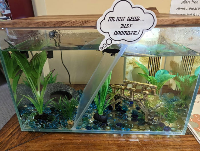 At A Counseling Agency