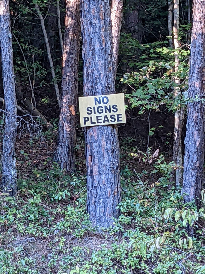 Well, Maybe One Would Be Ok