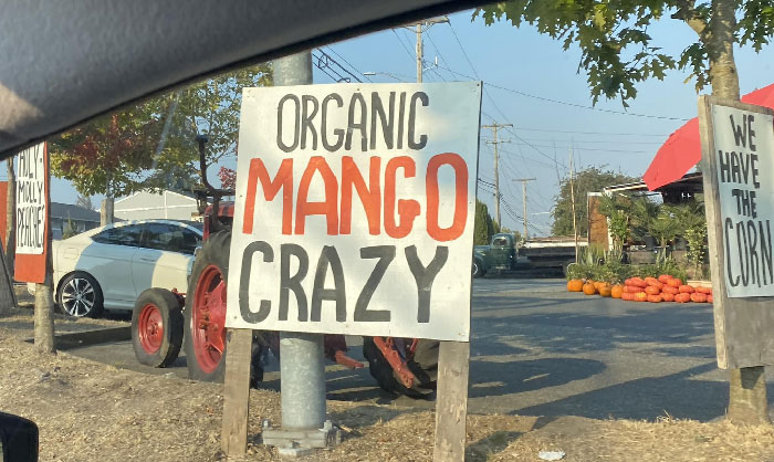 The Signs Have Been On Rotation For Months. Holy-Molly Indeed (Far Left Sign)