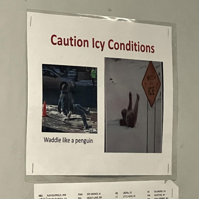 Spotted In The Middle Of August In Denver