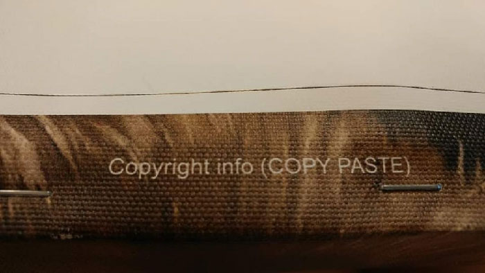 This Is On The Back Of An Art Print I Have