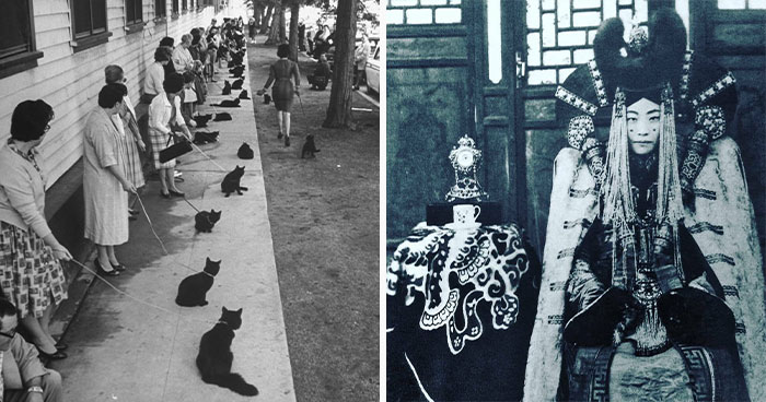 “Library Of The Bizarre”: 50 Incredible And Rare Historical Photos That Explore Moments That Happened In The Past