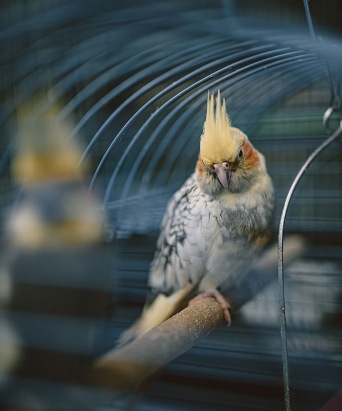 30 Times People Stepped Into Someone Else's House And Just Had To Share The Weird Things That They Saw