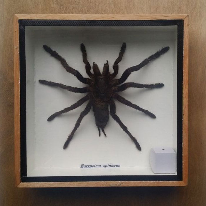 30 Times People Stepped Into Someone Else's House And Just Had To Share The Weird Things That They Saw