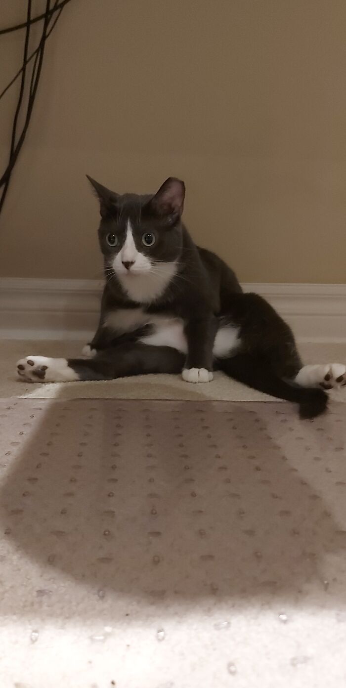 No tiene un solo pensamiento en su mente. Ni uno solo