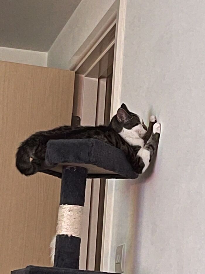 That Can’t Be Comfy