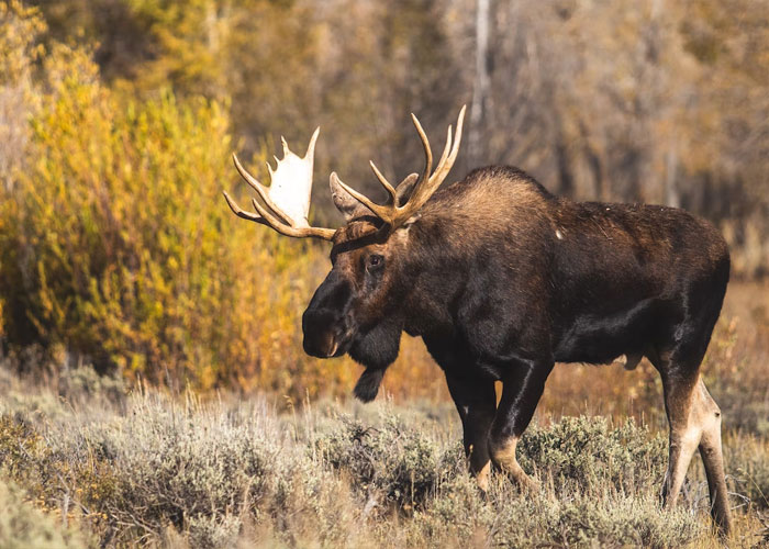 Locals Are Sharing Social Norms And Insider Tips For Traveling In Their Country That People Might Not Consider (30 Answers)