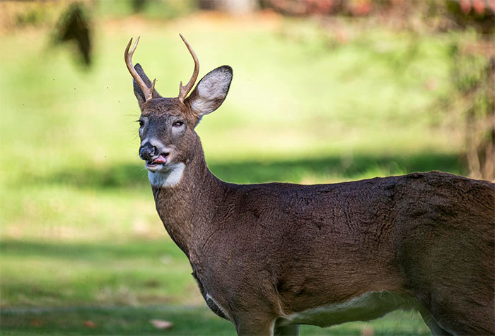 Frankly, I Don’t Know Why Natgeo Isn’t Returning My Calls